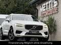 Volvo XC60 R Design AWD*Leder*Panorama*360° Weiß - thumbnail 3