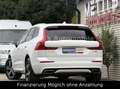 Volvo XC60 R Design AWD*Leder*Panorama*360° Weiß - thumbnail 6