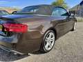 Audi A5 Cabriolet 3.0 TFSI quattro Pro Line S Bruin - thumbnail 8