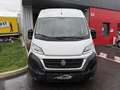 Fiat Ducato 3.5 MAXI LH2 2.3 MULTIJET 130CH PACK PRO NAV Wit - thumbnail 6