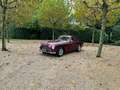 Aston Martin DB 2/4 s3 Rot - thumbnail 4