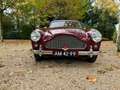 Aston Martin DB 2/4 s3 Rot - thumbnail 2