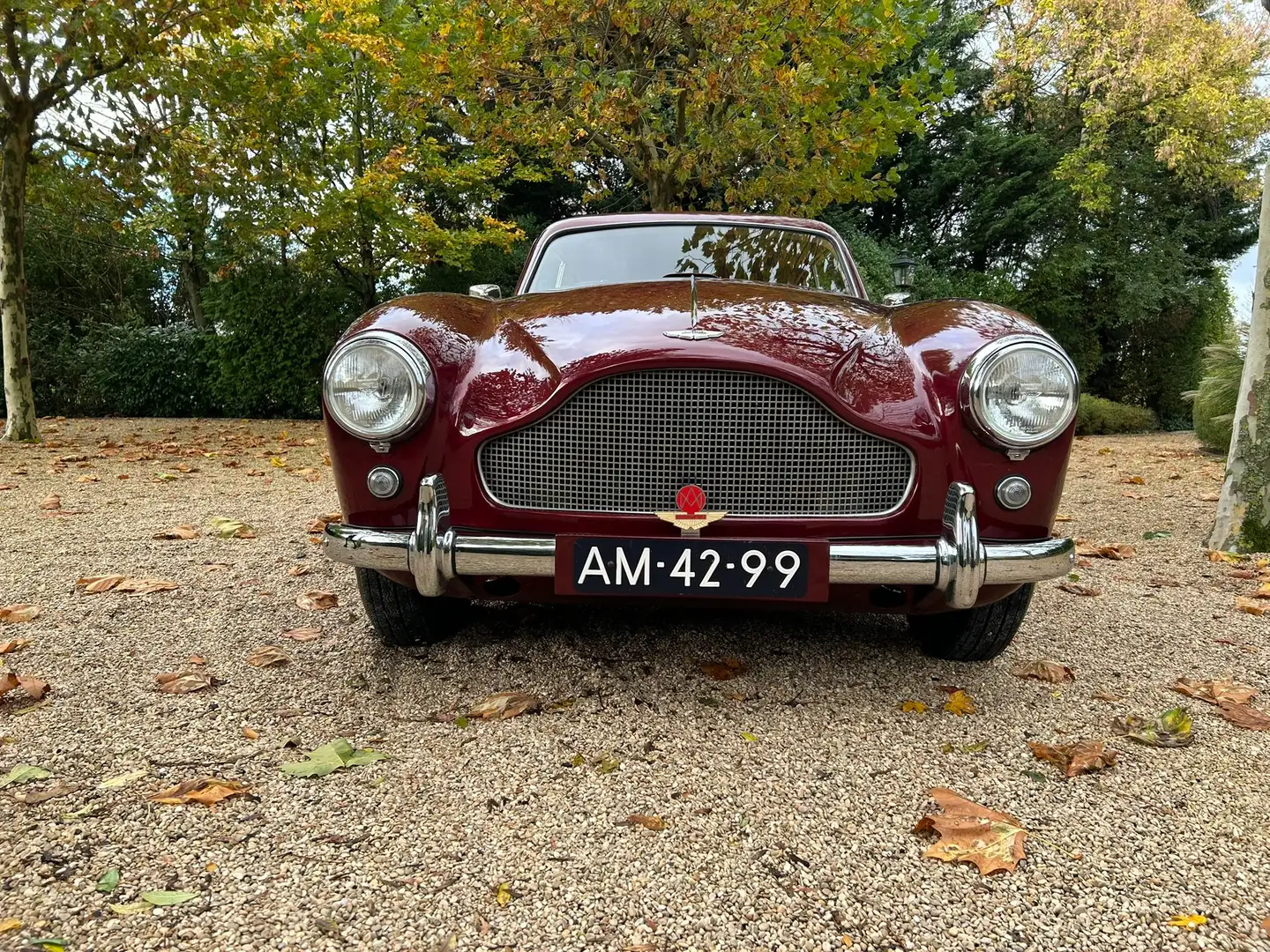 Aston Martin DB 2/4 s3 Rot - 2
