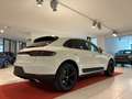 Porsche Macan Macan 2.0 245cv  FULL PELLE ANDROID AUTO Weiß - thumbnail 7