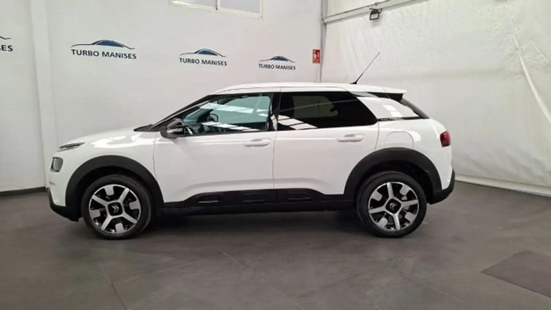 Citroen C4 Cactus BlueHDi 73KW (100CV) Shine Blanco - 2