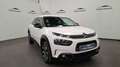 Citroen C4 Cactus BlueHDi 73KW (100CV) Shine Blanco - thumbnail 5