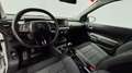 Citroen C4 Cactus BlueHDi 73KW (100CV) Shine Blanco - thumbnail 12