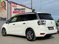 Citroen C4 Picasso 2.0 BlueHDi Intensive Aut. *7-Sitze* Weiß - thumbnail 7