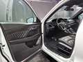 Borgward BX7 2.0 TS Limited Edition|AUTOM|PANO|LEDER|360* - thumbnail 8