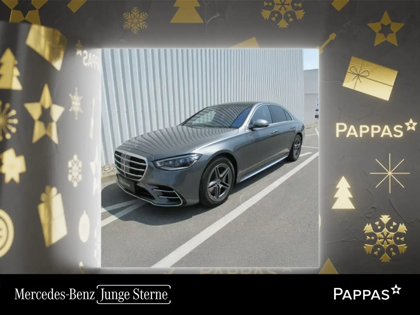 Mercedes-Benz S 580 4MATIC Limousine Totw Stdhz Distr PTS LED Grau - 1