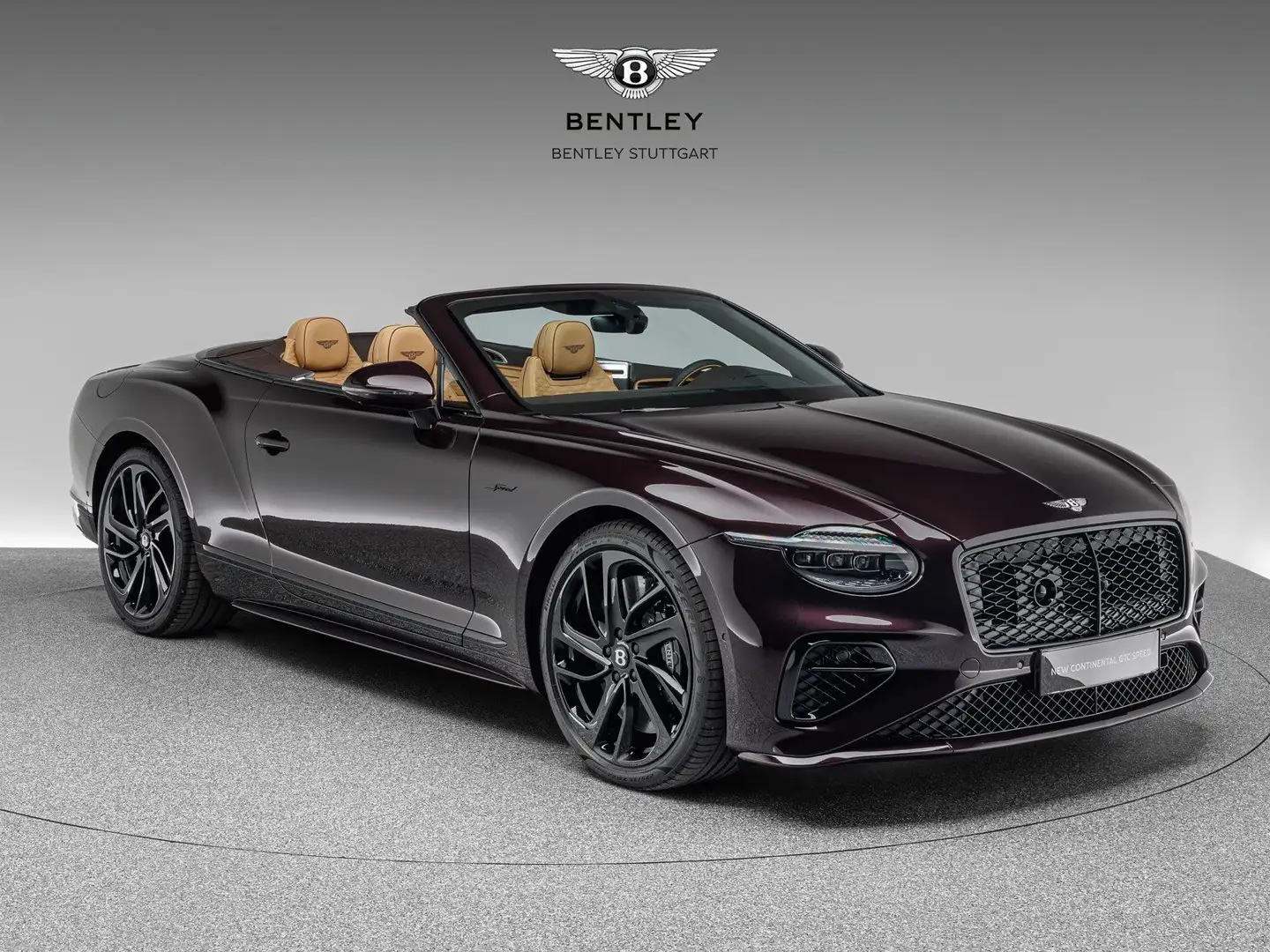 Bentley Continental GTC Speed V8 Hybrid Violett - 1