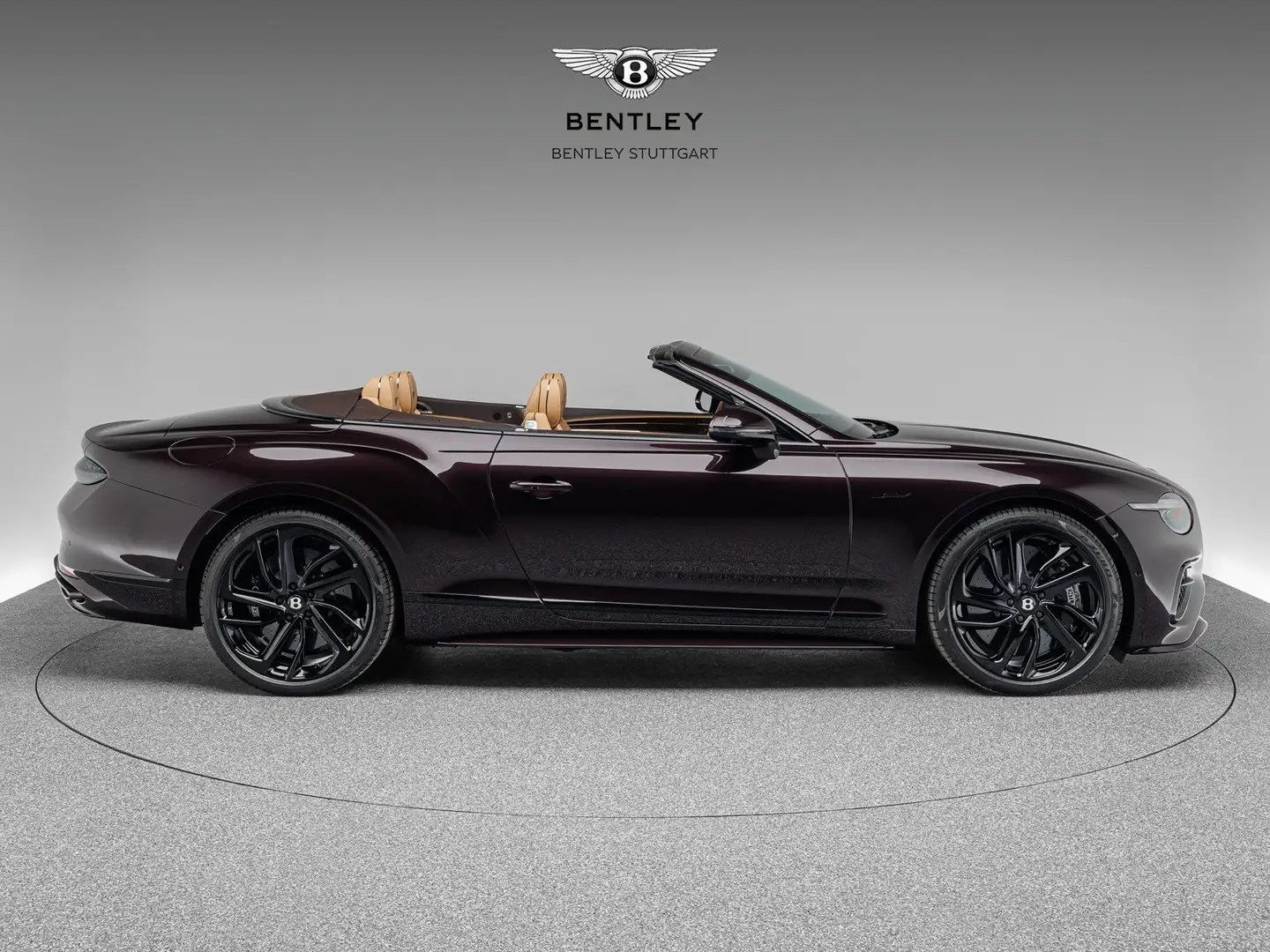 Bentley Continental GTC Speed V8 Hybrid Violett - 2