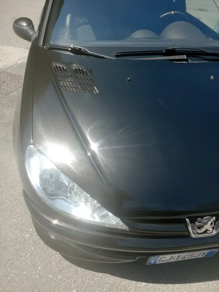 Peugeot 206 3p 2.0 16v Gti, foto 10