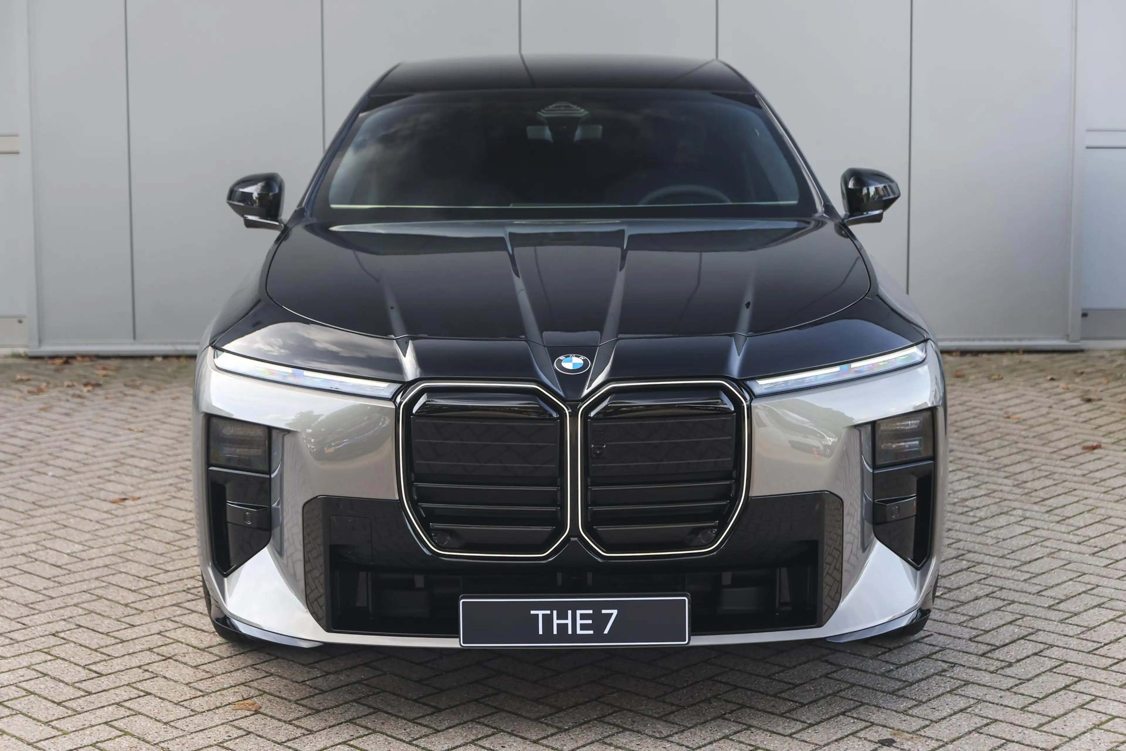 BMW i7 50 xDrive M Sport / Panoramadak Sky Lounge / Trekh — photo 6