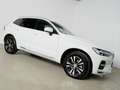 Volvo XC60 T6 AWD Recharge Core *Google * Sitzkomfortpak.* Wit - thumbnail 7