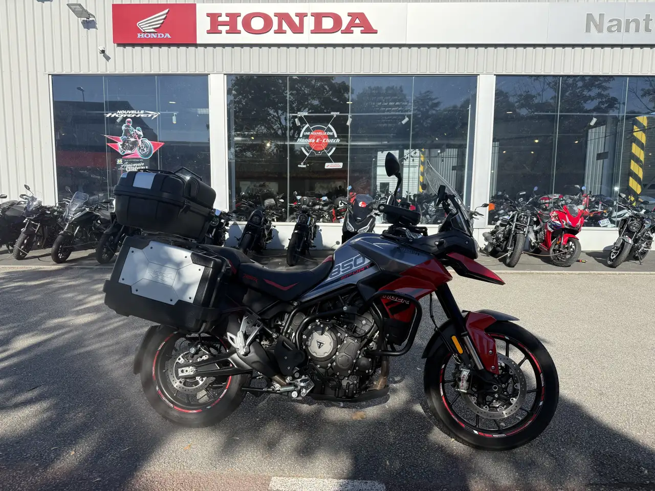 Triumph