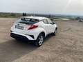 Toyota C-HR 125H Active Blanco - thumbnail 1