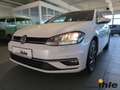 Volkswagen Golf Variant VII 1,5 TSI Sound GJ-REIFEN+APPCONNECT Weiß - thumbnail 16