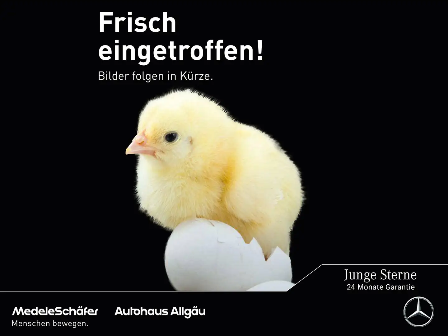 Mercedes-Benz C 300 C 300 4MATIC AMG DigLi Standhz 360° AdSound Totw Grau - 1