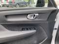 Volvo XC40 R-Design AWD B4 EU6d Navi Digitales Cockpit Sounds Argento - thumbnail 10