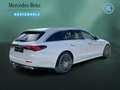 Mercedes-Benz E 300 E 300 de T EXCLUSIVE+DISTRO+AHK+SITZKLIMA+360° Blanco - thumbnail 5