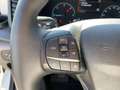 Ford Transit Kasten 290 L2 Trend PDC|AHK|Klima|8xReife Blanco - thumbnail 11