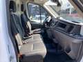 Ford Transit Kasten 290 L2 Trend PDC|AHK|Klima|8xReife Blanco - thumbnail 16