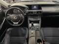 Lexus IS 300 300h Business Azul - thumbnail 22