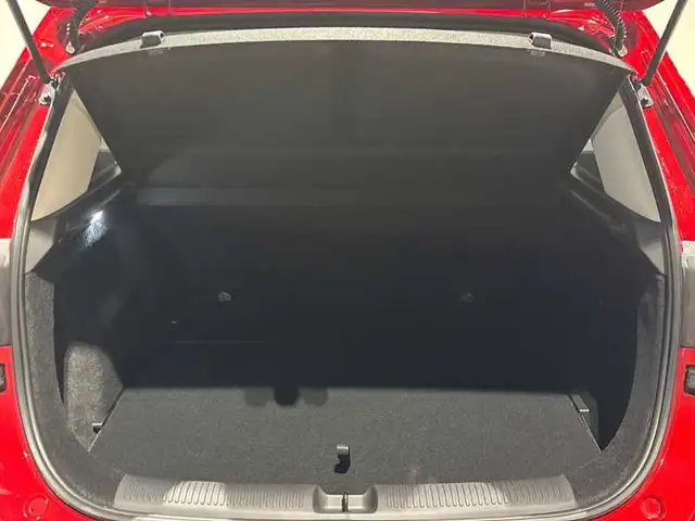 MG ZS view 7