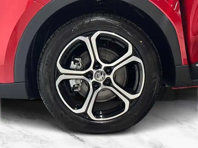 MG ZS view 8
