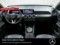 Mercedes-Benz GLB 250 GLB 250 LED/AHK/NIGHT/KAMERA/MBUX-HIGH-END SHZ Grigio - thumbnail 8