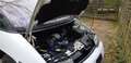Pontiac Trans Sport 3.8 V6 Bianco - thumbnail 8