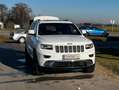 Jeep Grand Cherokee Grand Cherokee 3,0 V6 CRD Summit Summit Weiß - thumbnail 2