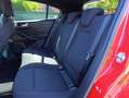 Ford Focus 1.5 ecoblue ST-Line s&s 120cv Rouge - thumbnail 13