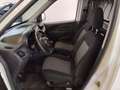 Fiat Doblo BUSINESS 1.6 MJET 90CV E6D-F SeS Blanc - thumbnail 10