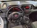 Fiat Doblo BUSINESS 1.6 MJET 90CV E6D-F SeS Blanc - thumbnail 11
