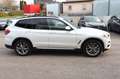 BMW X3 xDrive20d xLine Aut. LiveCockpi_Pano_LED_Navi Weiß - thumbnail 4