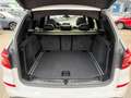 BMW X3 xDrive20d xLine Aut. LiveCockpi_Pano_LED_Navi Weiß - thumbnail 15