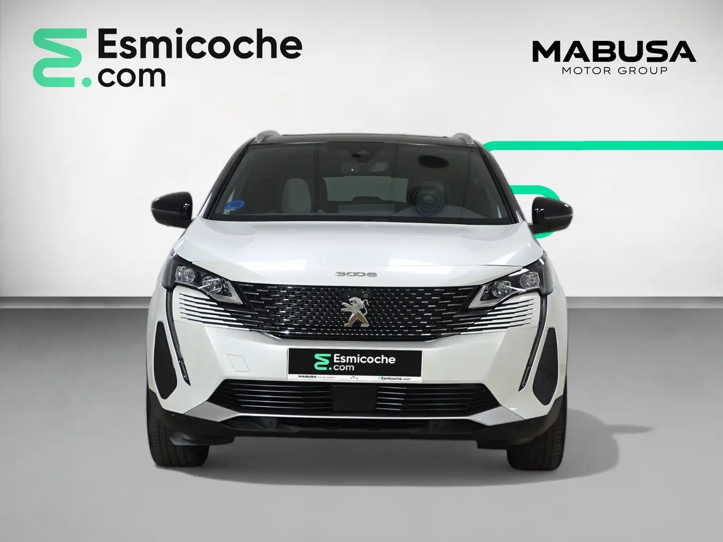 Peugeot 3008 1.6e-HDI Active ETG6 115 - 2
