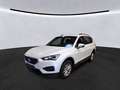 SEAT Tarraco Style2.0TDI DSG LED Navi Alu AHK Blanc - thumbnail 1