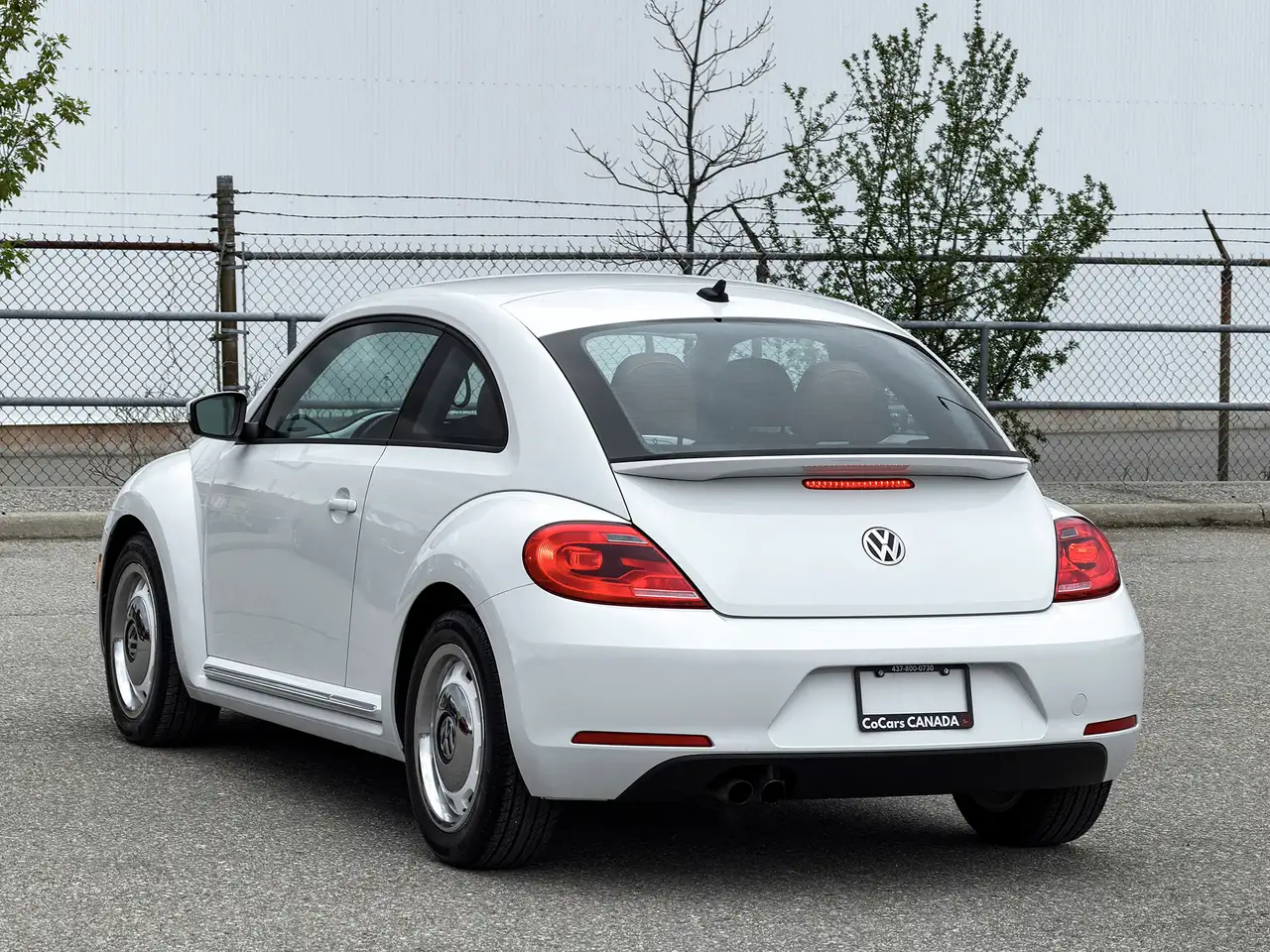 Volkswagen Beetle снимка Volkswagen Beetle