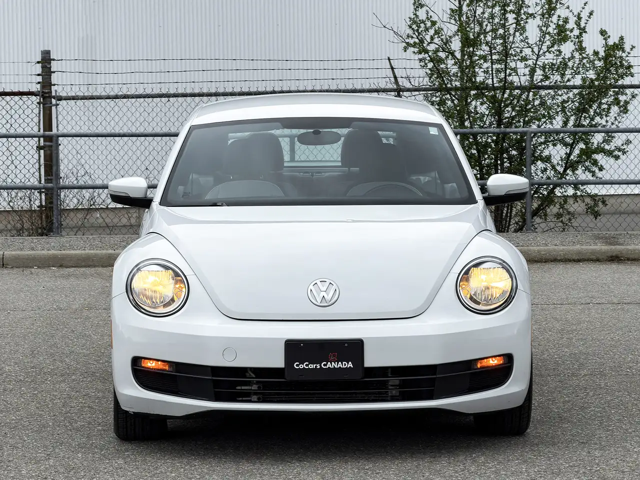 Volkswagen Beetle снимка Volkswagen Beetle