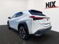 Lexus UX 250h Hybrid Style Edition KAMERA LED Weiß - thumbnail 5
