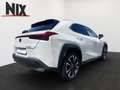 Lexus UX 250h Hybrid Style Edition KAMERA LED Weiß - thumbnail 4