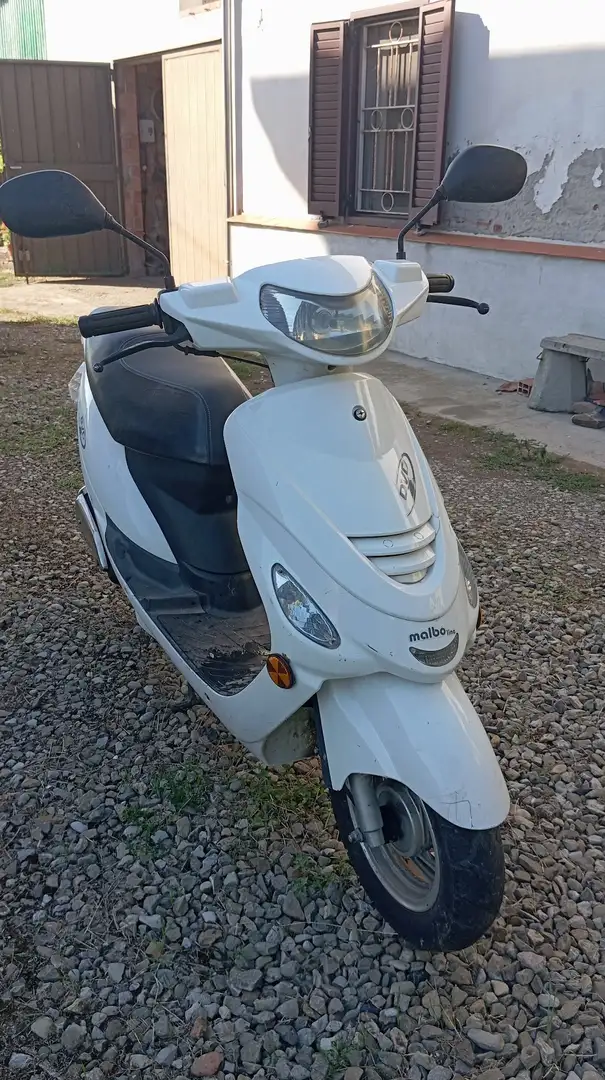 Malaguti Інші Malaguti DVD 50 Білий - 2