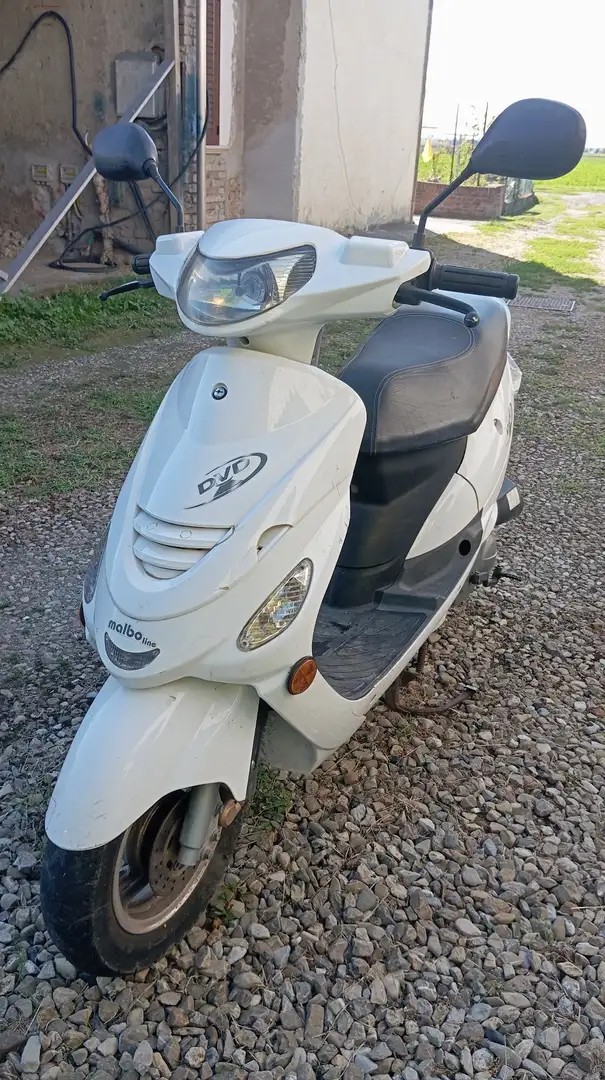 Malaguti Інші Malaguti DVD 50 Білий - 1