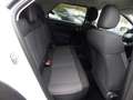 Citroen C4 Cactus PURETECH 82 FEEL Blanc - thumbnail 10
