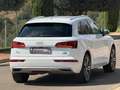 Audi Q5 2.0 TDI 190 CV cl.d. qu. S tr. Adv.P. Blanc - thumbnail 10