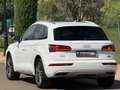 Audi Q5 2.0 TDI 190 CV cl.d. qu. S tr. Adv.P. Blanc - thumbnail 8