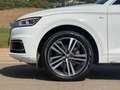 Audi Q5 2.0 TDI 190 CV cl.d. qu. S tr. Adv.P. Blanc - thumbnail 7